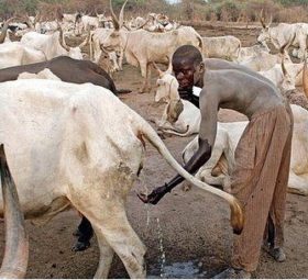 Ours is a country of great paradoxes…